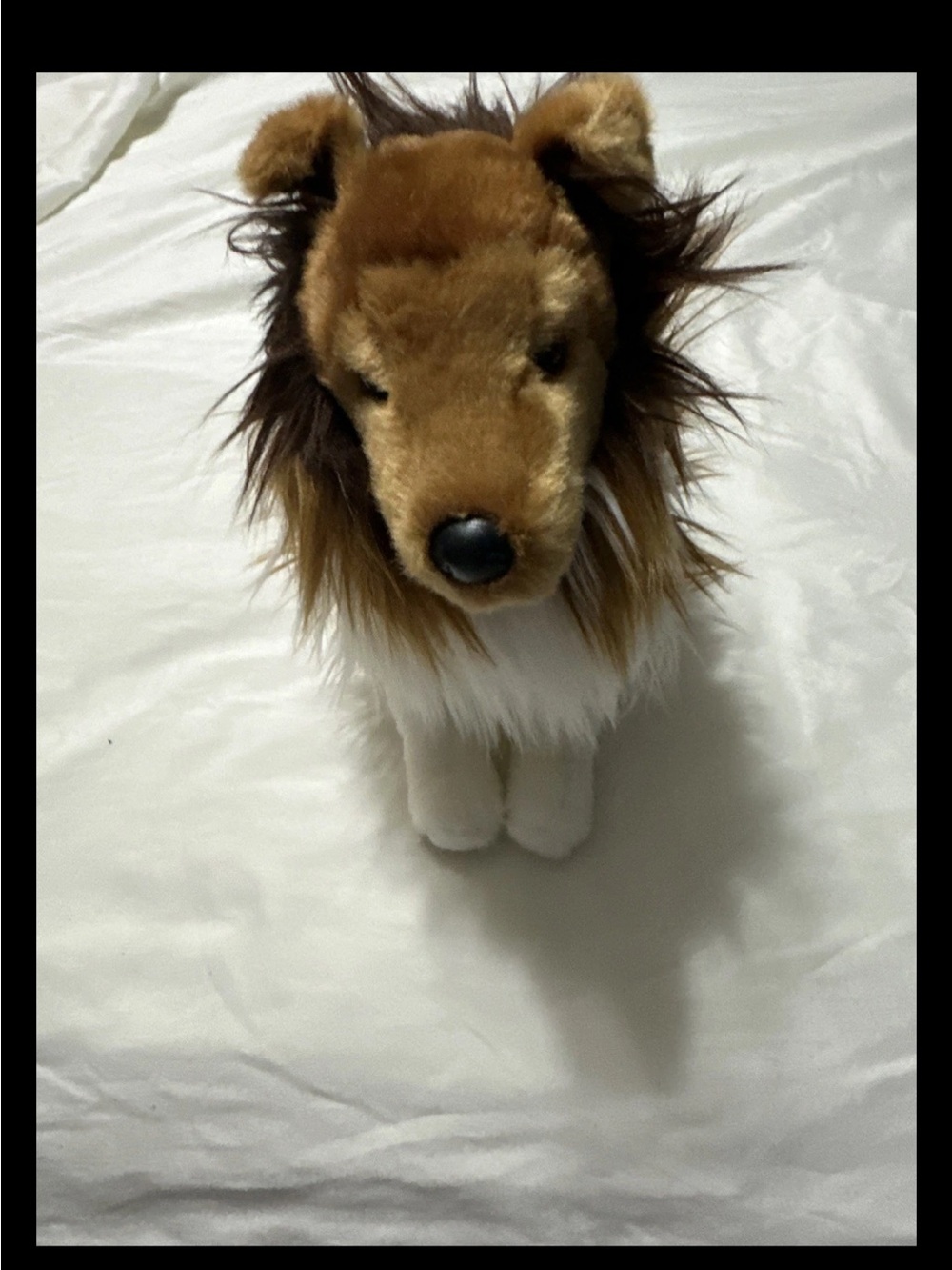 Cuddly Collie Plush Toy - Brown & White